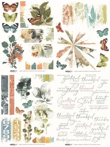 Arden Creative Studio - Amber Ledgers / Rub-On Transfer 6x8" 